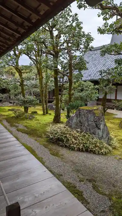 三宝院(三宝院門跡)(京都府)