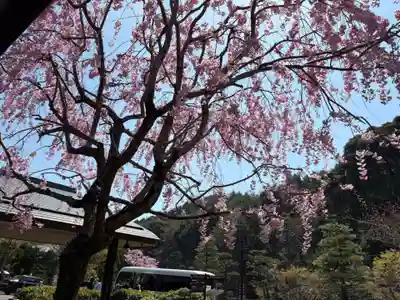 勝尾寺(大阪府)