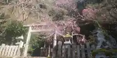 大豊神社の鳥居