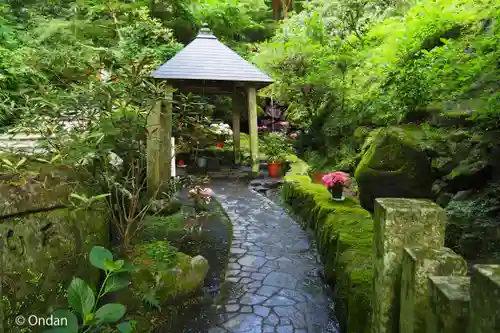 岡寺（龍蓋寺）(奈良県)