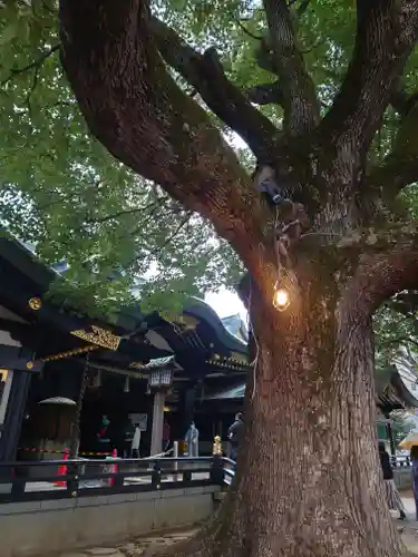 穴八幡宮(東京都)