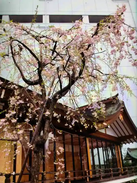 成子天神社(東京都)