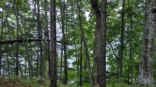 糠平電源神社の自然