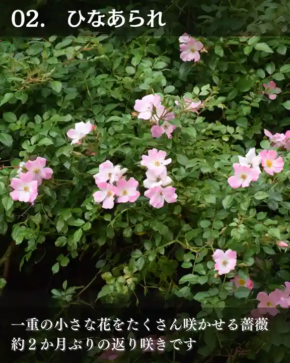 宝光寺(北海道)