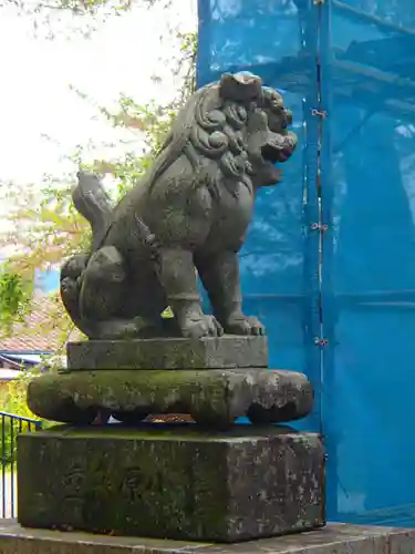 大宮五十鈴神社の狛犬