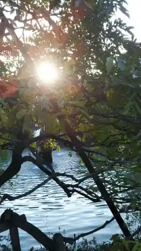 大天白神社の自然