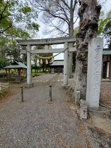 胸形神社の鳥居