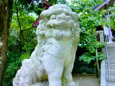 天津神明宮の狛犬