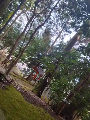 西宮神社(京都府)