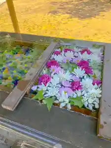 根岸八幡神社の手水舎(2023年05月03日(水) 13時11分06秒投稿)