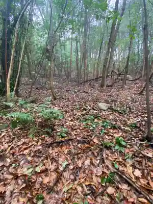 安仁神社の{uncategorized: "未分類", other: "その他", undefined: "問題あり", building: "その他建物", grave: "お墓", sacred_gate: "鳥居", guardian: "狛犬", statue: "像", buddha: "仏像", history: "歴史", nature: "自然", garden: "庭園", animal: "動物", pagoda: "塔", temizu: "手水舎", mountain_gate: "山門・神門", sanctuary: "本殿・本堂", subordinate: "末社・摂社", art: "芸術", scenery: "景色", jizo: "地蔵", ema: "絵馬", goshuin: "御朱印", omikuji: "おみくじ", items: "授与品その他", amulet: "お守り", goshuincho: "御朱印帳", eats: "食事", festival: "お祭り", votive_dance: "神楽", shichigosan: "七五三参", wedding: "結婚式", experience: "体験その他", initially: "初詣", around: "周辺", anti_infection: "感染症対策"}