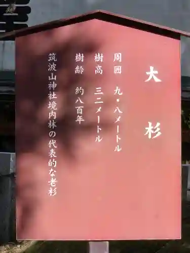 筑波山神社(茨城県)