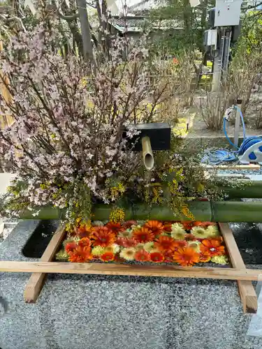 白山神社(新潟県)