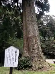 狭野神社の自然