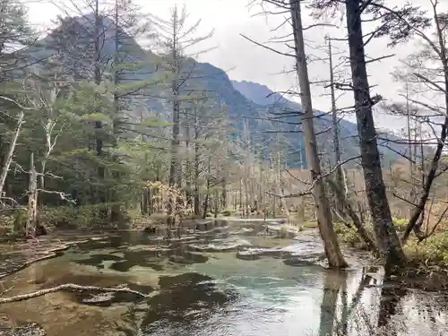 穂高神社奥宮の自然
