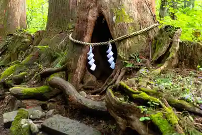 戸隠神社奥社(長野県)