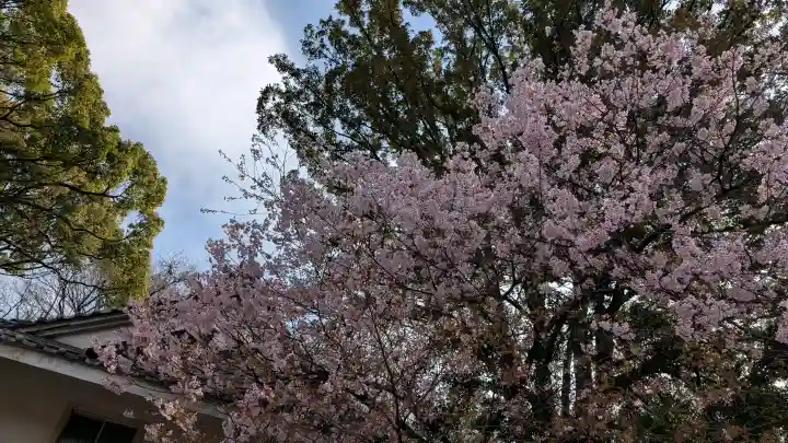 愛知縣護國神社の{uncategorized: "未分類", other: "その他", undefined: "問題あり", building: "その他建物", grave: "お墓", sacred_gate: "鳥居", guardian: "狛犬", statue: "像", buddha: "仏像", history: "歴史", nature: "自然", garden: "庭園", animal: "動物", pagoda: "塔", temizu: "手水舎", mountain_gate: "山門・神門", sanctuary: "本殿・本堂", subordinate: "末社・摂社", art: "芸術", scenery: "景色", jizo: "地蔵", ema: "絵馬", goshuin: "御朱印", omikuji: "おみくじ", items: "授与品その他", amulet: "お守り", goshuincho: "御朱印帳", eats: "食事", festival: "お祭り", votive_dance: "神楽", shichigosan: "七五三参", wedding: "結婚式", experience: "体験その他", initially: "初詣", around: "周辺", anti_infection: "感染症対策"}