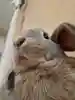 宇宙人👽