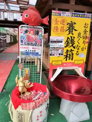 白崎八幡宮のおみくじ