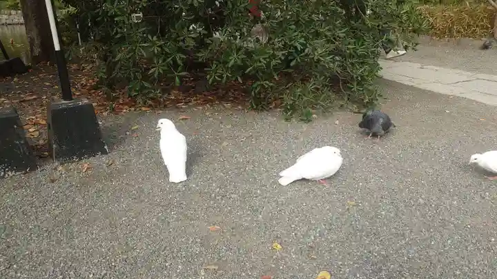 旗上弁財天社(神奈川県)