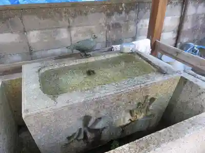 首途八幡宮の手水舎