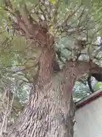 菰江村社(大阪府)