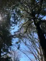 白岡八幡神社(埼玉県)