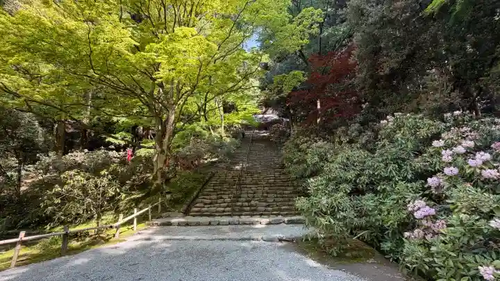 室生寺の{uncategorized: "未分類", other: "その他", undefined: "問題あり", building: "その他建物", grave: "お墓", sacred_gate: "鳥居", guardian: "狛犬", statue: "像", buddha: "仏像", history: "歴史", nature: "自然", garden: "庭園", animal: "動物", pagoda: "塔", temizu: "手水舎", mountain_gate: "山門・神門", sanctuary: "本殿・本堂", subordinate: "末社・摂社", art: "芸術", scenery: "景色", jizo: "地蔵", ema: "絵馬", goshuin: "御朱印", omikuji: "おみくじ", items: "授与品その他", amulet: "お守り", goshuincho: "御朱印帳", eats: "食事", festival: "お祭り", votive_dance: "神楽", shichigosan: "七五三参", wedding: "結婚式", experience: "体験その他", initially: "初詣", around: "周辺", anti_infection: "感染症対策"}