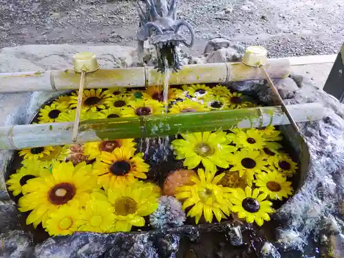 駒形神社の手水舎