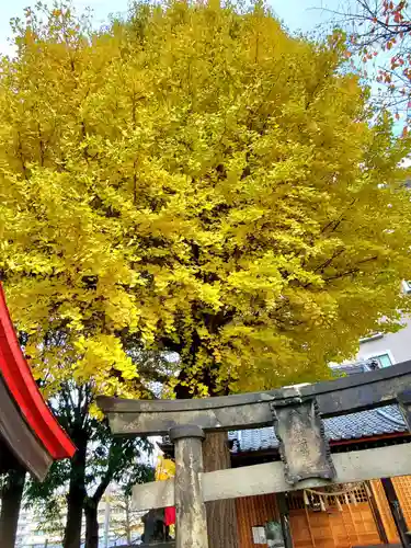 晴門田神社(福島県)