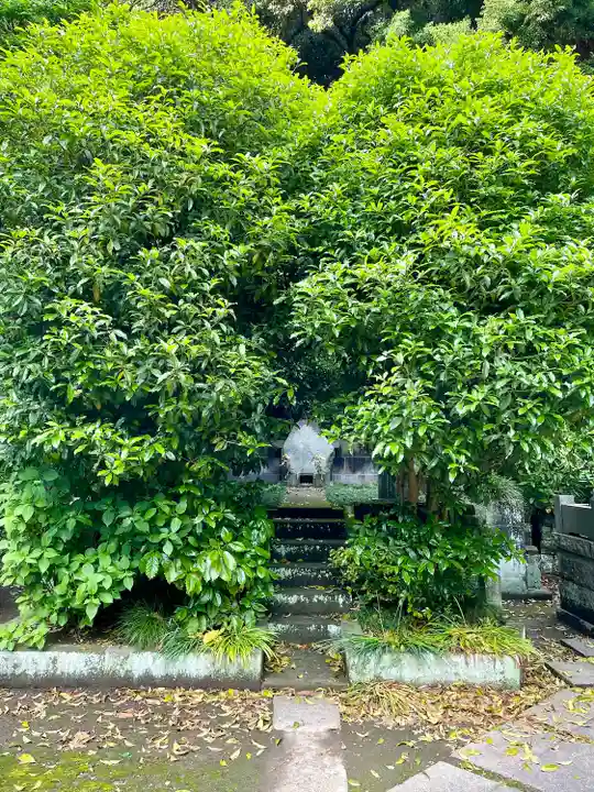 妙本寺(神奈川県)