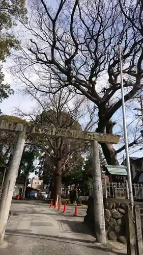 熊野三社の鳥居