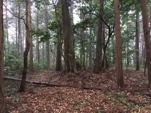 胎安神社の自然