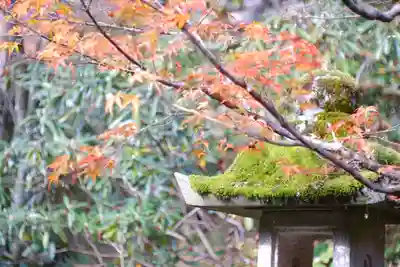 長谷寺(奈良県)