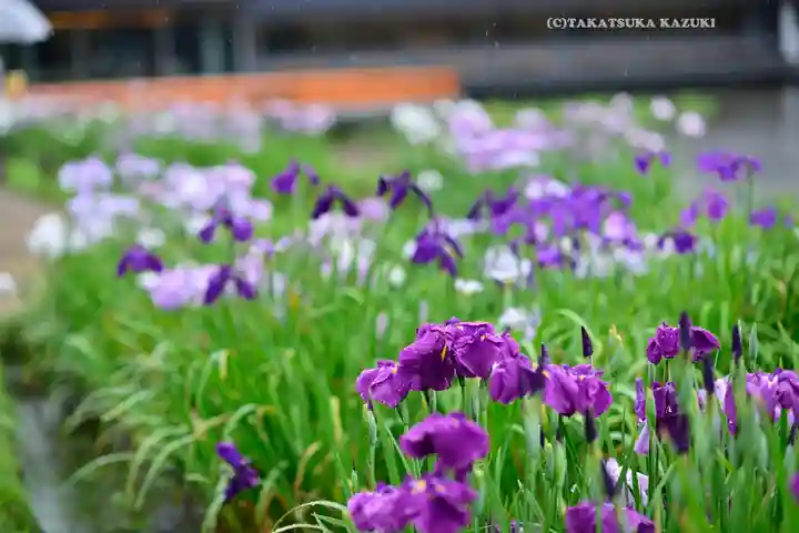 伊勢神宮外宮(豊受大神宮)(三重県)