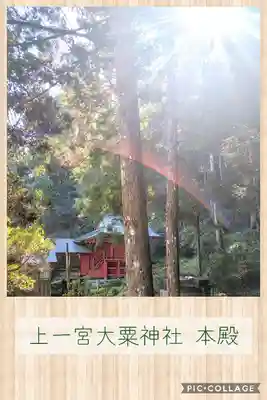 上一宮大粟神社の本殿・本堂