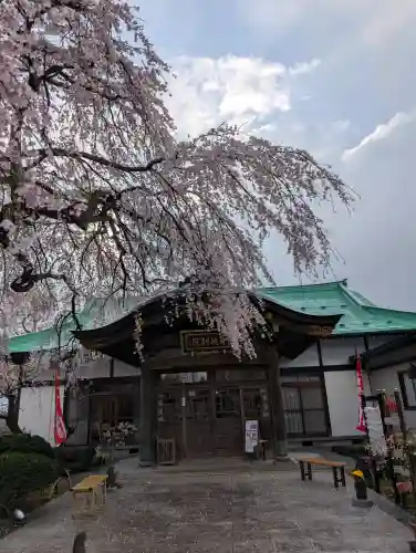 身照寺の{uncategorized: "未分類", other: "その他", undefined: "問題あり", building: "その他建物", grave: "お墓", sacred_gate: "鳥居", guardian: "狛犬", statue: "像", buddha: "仏像", history: "歴史", nature: "自然", garden: "庭園", animal: "動物", pagoda: "塔", temizu: "手水舎", mountain_gate: "山門・神門", sanctuary: "本殿・本堂", subordinate: "末社・摂社", art: "芸術", scenery: "景色", jizo: "地蔵", ema: "絵馬", goshuin: "御朱印", omikuji: "おみくじ", items: "授与品その他", amulet: "お守り", goshuincho: "御朱印帳", eats: "食事", festival: "お祭り", votive_dance: "神楽", shichigosan: "七五三参", wedding: "結婚式", experience: "体験その他", initially: "初詣", around: "周辺", anti_infection: "感染症対策"}