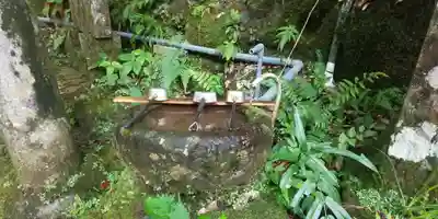 元伊勢天岩戸神社の手水舎