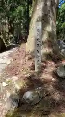 高野山金剛峯寺奥の院(和歌山県)