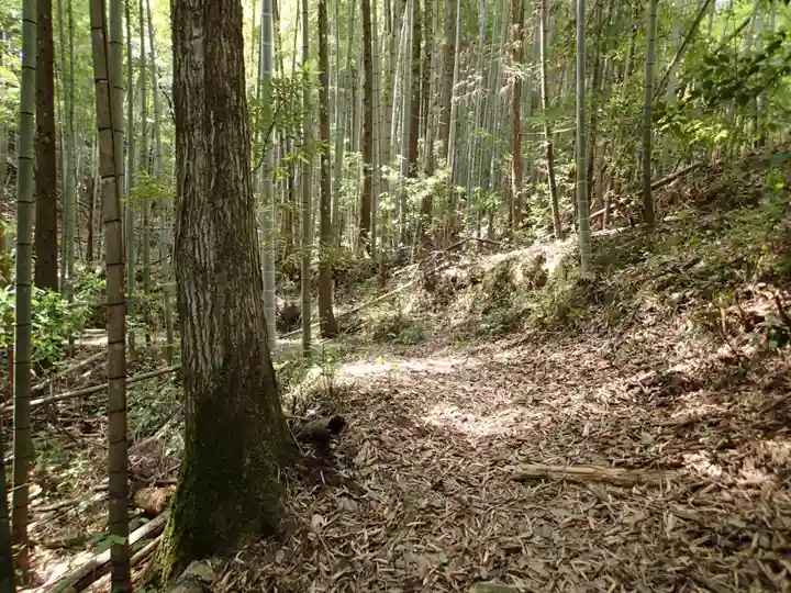 上一宮大粟神社の自然