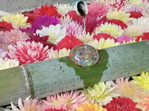 岡寺（龍蓋寺）の手水舎