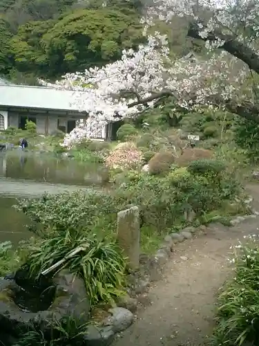 光明寺の庭園