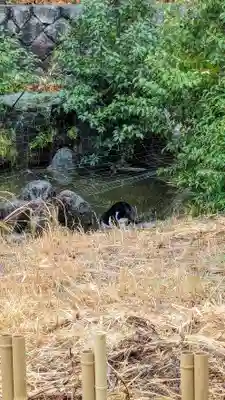 白金氷川神社(東京都)