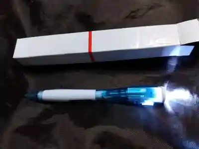 泰心寺(岐阜県)