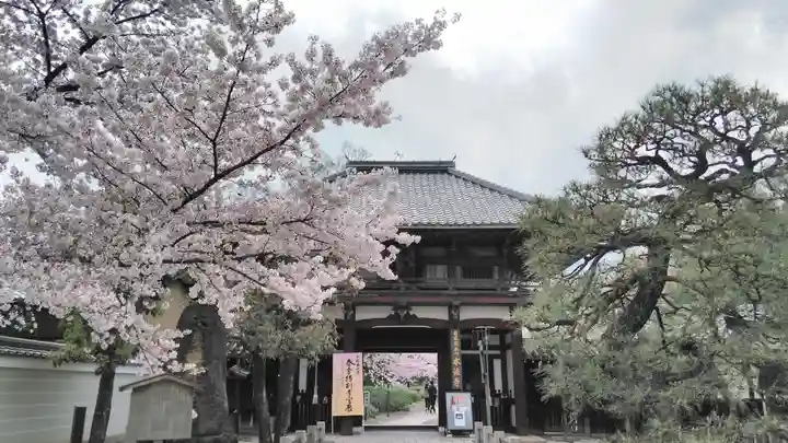 本法寺のその他建物