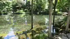 富士山本宮浅間大社の庭園