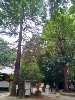 氷川女體神社のその他建物