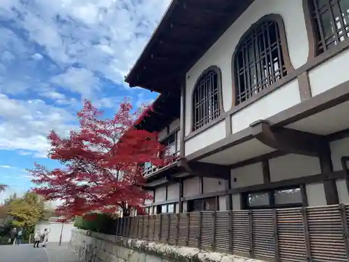 南禅院(京都府)