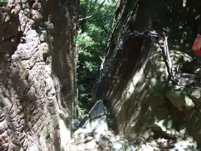 若杉奥之院(福岡県)