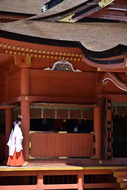 富士山本宮浅間大社(静岡県)